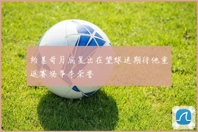 约基奇月底复出在望球迷期待他重返赛场争夺荣誉