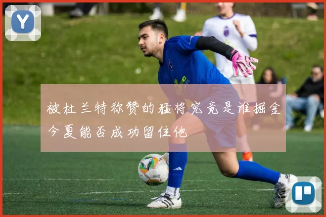 被杜兰特称赞的猛将究竟是谁掘金今夏能否成功留住他